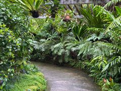 -深圳仙湖植物园-停车场