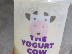 -一只酸奶牛(八一路店)