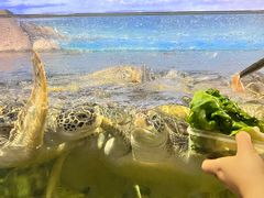 -福州罗源湾海洋世界旅游区