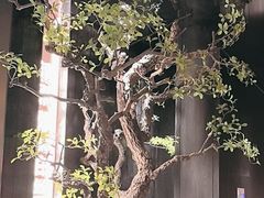 -苏淮景·苏闽融创菜·海鲜(原空港井河轩店)
