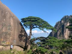 -黄山风景区