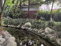 -成飞公园