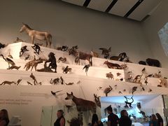 -墨尔本博物馆(Melbourne Museum)