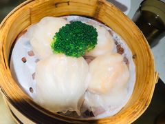 -南枝记