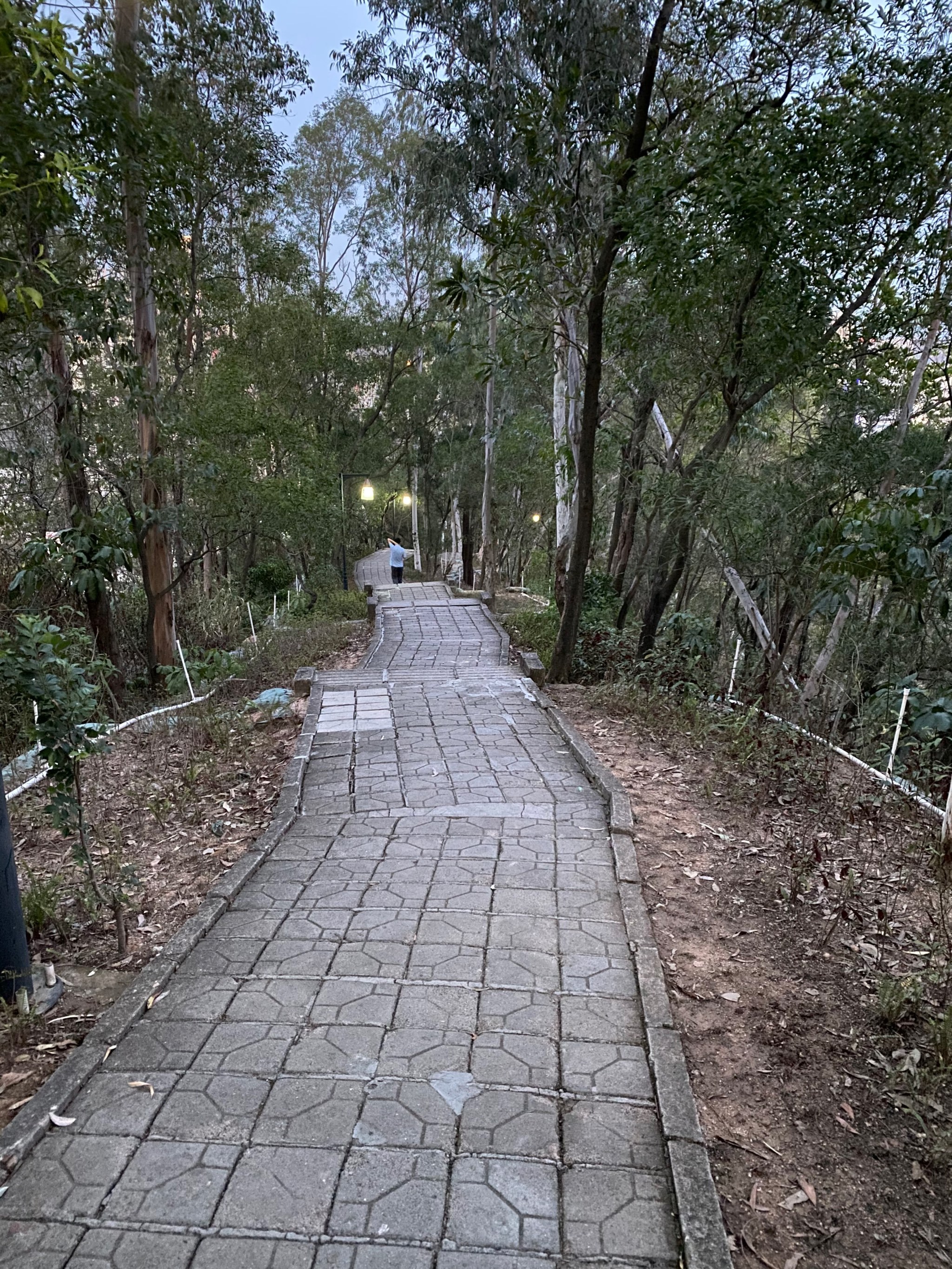 南山公园位于广东省深圳市南头半岛,主峰高