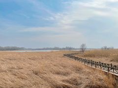 -野鸭湖国家湿地公园