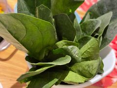 菠菜-青瓷火锅料理(西单大悦城店)