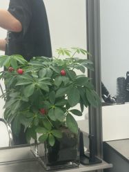 -苑苑发型设计