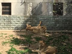 -西安秦岭野生动物园