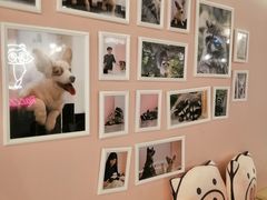 -浣熊柯尔鸭土拨鼠·电玩咖