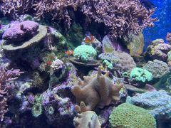 -珠海长隆海洋王国