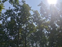 -重庆彩云湖湿地公园