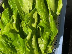 -牛一煲美食(江高店)