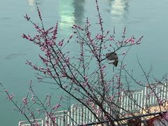-River Café 海鲜自助(重庆丽笙世嘉酒店)