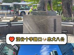 -涩谷全向十字路口