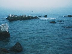 -养马岛旅游度假区