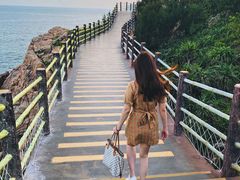 -广东惠东海龟国家级自然保护区