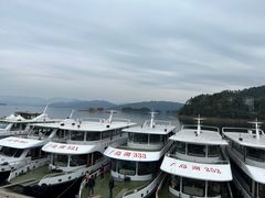 -千岛湖东南湖区