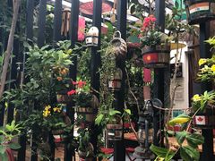 -深圳大旅小舍精品艺术民宿