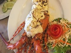 -Red Lobster