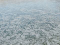 -马家湾湿地公园