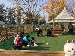 -萌宠亲子动物乐园(槐房万达店)