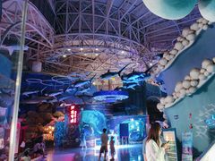 -烟台海昌鲸鲨海洋公园