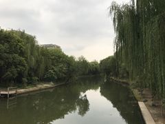 -新江湾城公园
