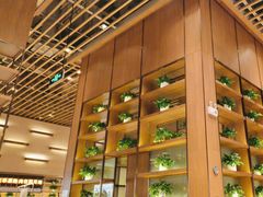 -西贝(华发商都店)