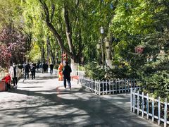 -宗角禄康公园