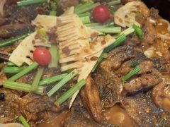 -老板恋上鱼(恒隆广场店)