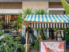 -more than meow吴止猫主题餐厅(承德 中船汇店)