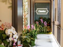 -新加坡乌节希尔顿酒店 (SG Clean)