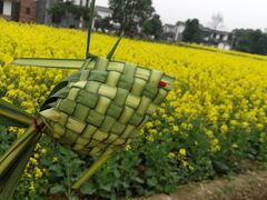 -桤木河湿地公园