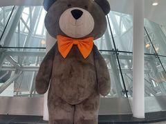 -济州岛泰迪熊博物馆