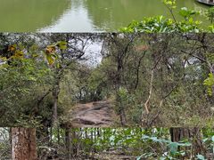 -水濂山森林公园