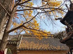 -青岛崂山太清宫
