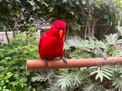 -南宫五洲植物乐园