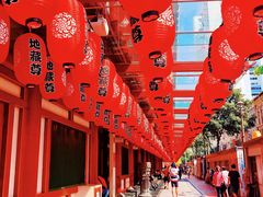 -新加坡佛牙寺龙华院