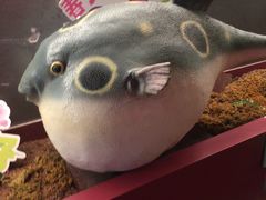 -肆月河豚·新淮扬菜·烤鸭(中关村店)