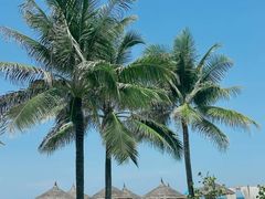 -芽庄中心购物广场