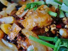 -鲁C·尚小炉·淄博烧烤(市北店)