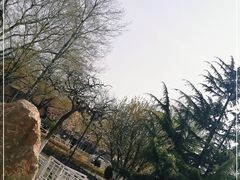 -睦南公园