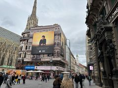 -斯蒂芬主教座堂(Stephansdom)