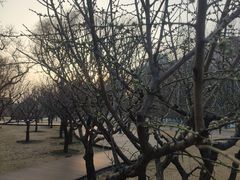 -北京明城墙遗址公园