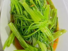 -顺和隆炖罐