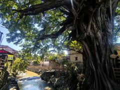 -初溪土楼群