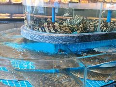 -百富源·海鲜辽菜(张士店)