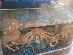 -骏莱海鲜鱼港(五角场店)