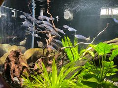 -太平洋海底世界